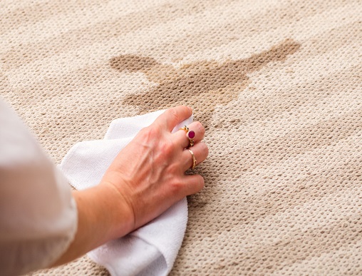 Accidents occur, and a glass of red wine spilled on your carpet might be frightening to see. However, do not worry! You can remove this stain and get your carpet back to its original flawless condition by using the proper methods. We'll walk you through the process of successfully removing red wine stains from your carpets in our BuzzMaids article. Act Quickly: Prompt action is essential for getting rid of a red wine stain. The stain is tougher to get rid of the longer it remains. So let's get started by grabbing some paper towels or clean towels. Blot, Don't Rub: Use a clean cloth or paper towel to gently blot the stain. Do not rub, since this can rinse the area well with a clean cloth and plain water to get rid of any soap residue. In order to remove extra moisture, blot the carpet. Use Baking Soda or Salt: liberally sprinkle baking soda or salt over the discoloration. These absorbent substances will assist in removing the wine from the carpet fibers. Give it some time to rest. Make a cleaning solution by combining dish soap and warm water in an equal amount in a bowl. Without harming your carpet, this product breaks down the wine stain gently but effectively. Apply the Cleaning Solution: Apply the soapy mixture to the soiled area with a clean cloth, sponge, or spray bottle. Blot the stain gently, working your way inward from the edges. Once the stain begins to lift, keep doing this. Rinse with Water: Thoroughly rinse the area with plain water and a clean cloth to get rid of any soap. Employ hydrogen peroxide (but test it beforehand!): You can use a little amount of hydrogen peroxide with a few drops of dish soap to treat tough stains. To make sure it doesn't fade the color of your carpet, always try this solution in a hidden spot first. Repeat the blotting process after applying the hydrogen peroxide solution to the discoloration. After letting it sit for a short while, properly rinse it with water. Dry the Area: After the stain has been removed, blot the area as thoroughly as you can with a clean cloth or several paper towels. Additional advice for removing red wine from carpets is provided below: Blot the stain with a white cloth. This will aid in limiting the amount of color transfer from the fabric to the carpet. Avoid rubbing the stain. The stain may spread if you rub it, making removal more challenging. Any cleaning solution should first be tested on a small patch of the carpet. This will make it more likely that the fabric won't be harmed by the cleaning. Call a reputable carpet cleaner if you can't get the stain out on your own. Don't freak out if red wine spills on your carpet! All you have to do to get rid of it swiftly and easily is adhere to the methods listed above. Additionally, Buzzmaids is available whenever you need them.